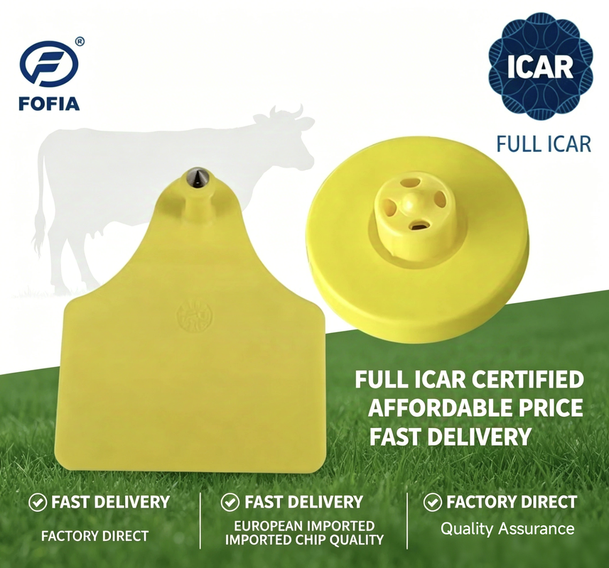 Étiquettes auriculaires électroniques certifiées ICAR de conception en TPU durable pour le suivi du bétail et les systèmes complets de gestion du bétail