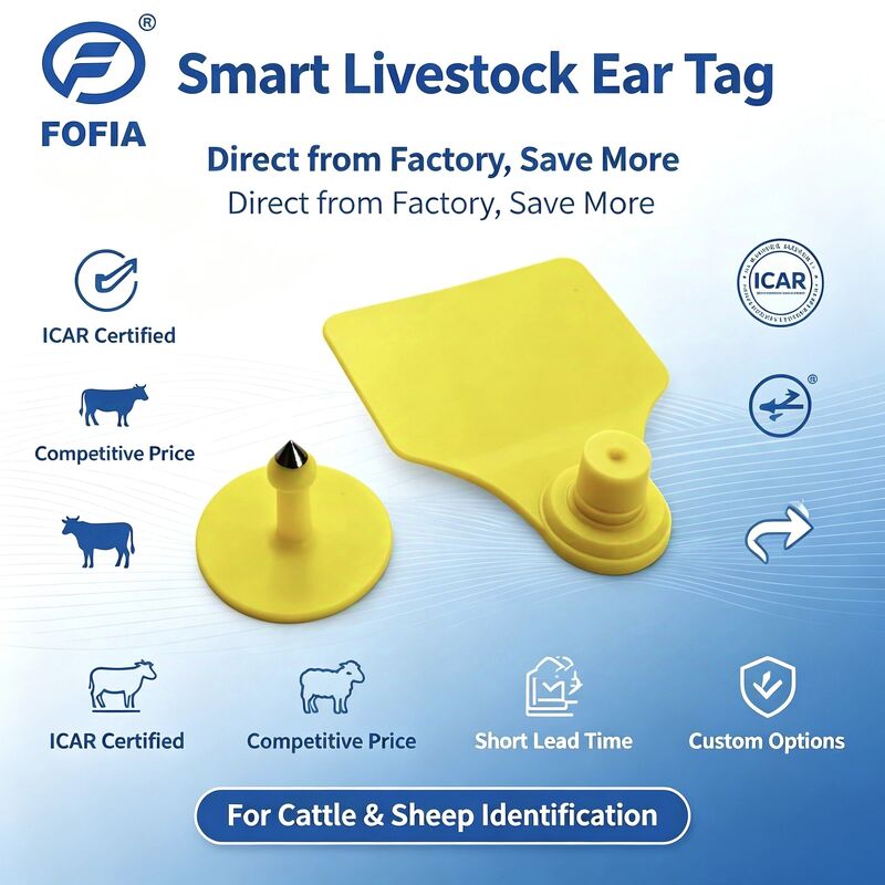 Fofia T904 étiquette d'oreille d'animal RFID TPU 72*57mm Laser Coding Ferme de bétail Porc moutons Icar