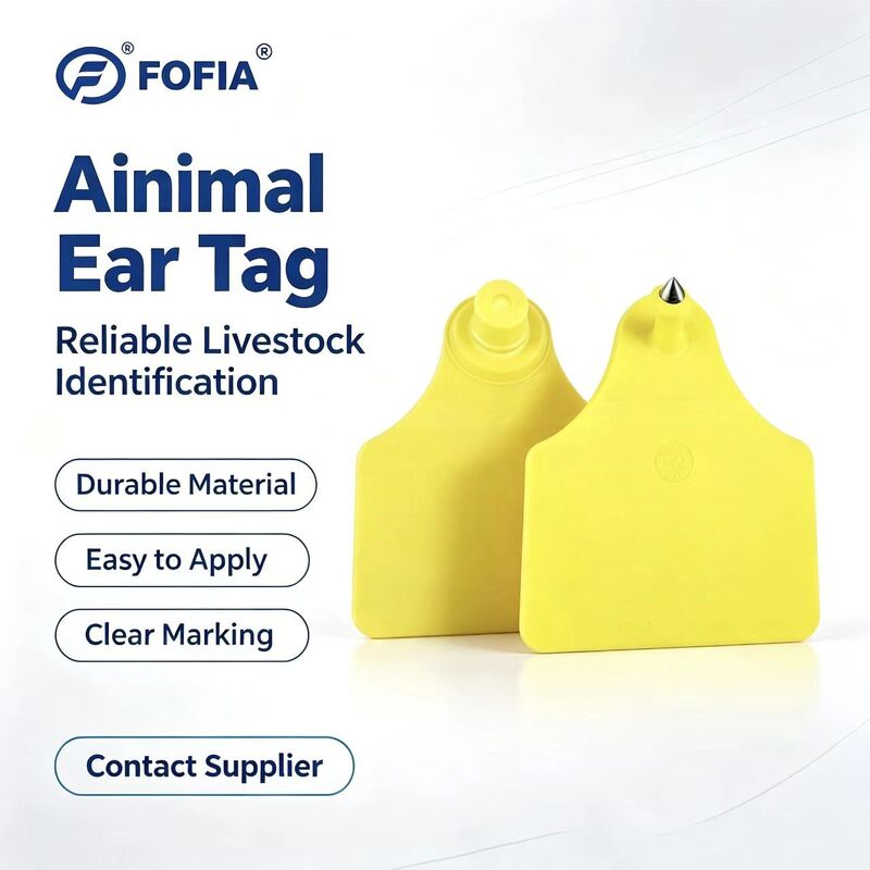 ICAR T904+T905 Étiquette d'oreille combinée pour animaux Nouveau RFID TPU 70*57mm de haute qualité avec codage laser 3 ans de garantie Utilisation en ferme pour le bétail