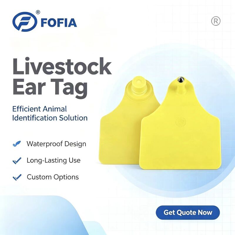 ICAR T904+T905 étiquette d'oreille de suivi des animaux nouvelle RFID TPU plastique 70 * 57mm codage laser 3 ans de garantie
