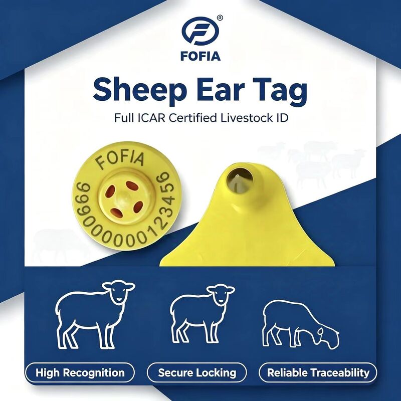 Étiquette électronique Fofia ET957+T967 pour moutons et chèvres, étanche, nouvelle génération, RFID TPU, codage laser de haute qualité