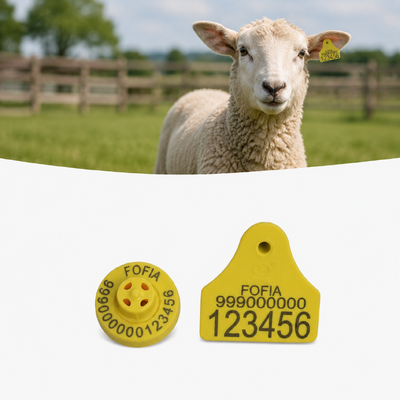 Étiquettes d'identification de moutons TPU Fréquence 134,2KHz Étiquettes d'oreille légères Conçues pour l'identification du bétail de longue durée