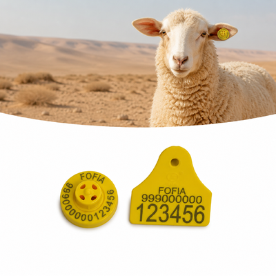 Distance de lecture 22 cm pour les étiquettes d'oreille de mouton FDX-B 4,0 g Fréquence 134,2 KHz conçues pour améliorer la productivité des élevages de moutons