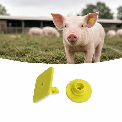 Étiquette d'audition électronique UHF pour animaux TPU légère de 3,2 grammes Étiquettes d'identification pour un suivi et une collecte de données précis du bétail