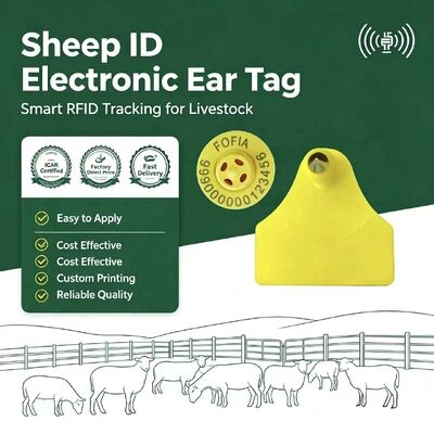 Fofia combinaison imperméable à l'eau étiquette d'oreille électronique de suivi des animaux nouvelle RFID de haute qualité TPU laser coding 3 ans garantie chèvre