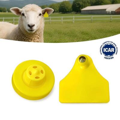 30°C à 50°C Étiquette d'oreille pour bétail Étiquette d'oreille haute résistance imperméable Conçue pour l'identification et le suivi des moutons, des porcs et des chèvres