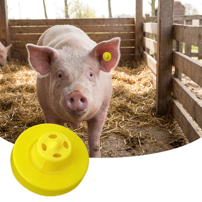 Étiquette d'oreille en métal RFID ICAR complète 134.2KHz, Solution d'identification animale améliorée pour bovins, porcs, moutons