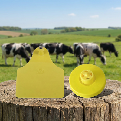 Carte d'accès RFID TPU certifiée FULL ICAR - Étiquette d'oreille animale ronde ISO11784/5 de 30 mm pour systèmes d'entrée sécurisés